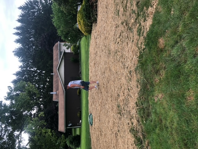 septic-system-installation