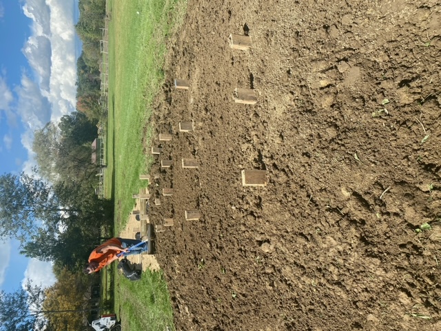 septic-system-installation